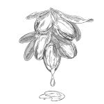 Návrh bez názvu (21)